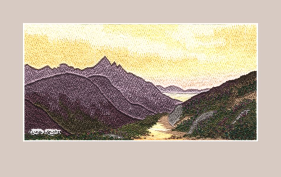 silk shading embroidery